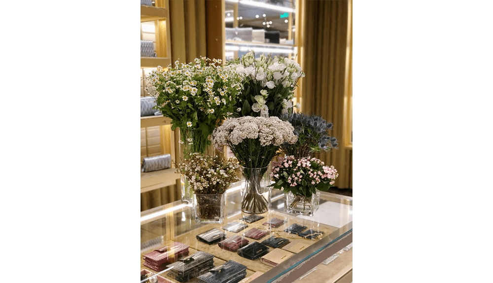 Miu Miu Event