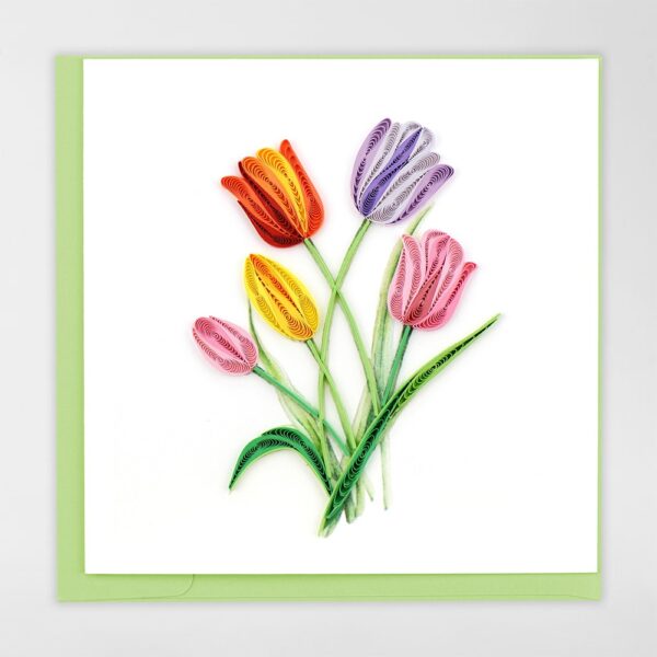 Colourful Tulips