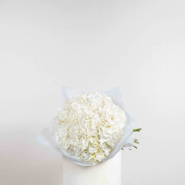 White Hydrangea Bunch