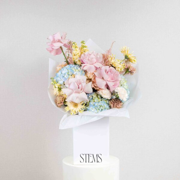 Pastel Dreams