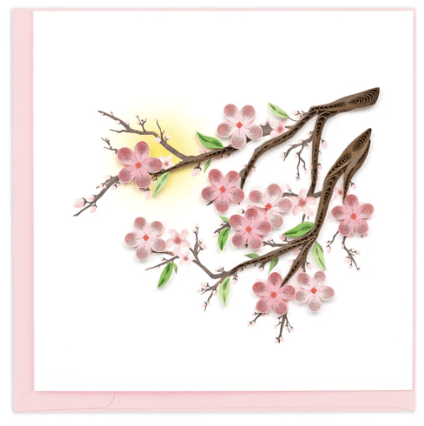 Cherry Blossoms